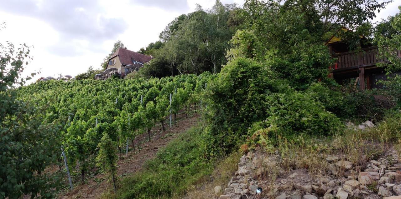 Ferienwohnung Am Hollergraben Oberschwarzach Eksteriør bilde